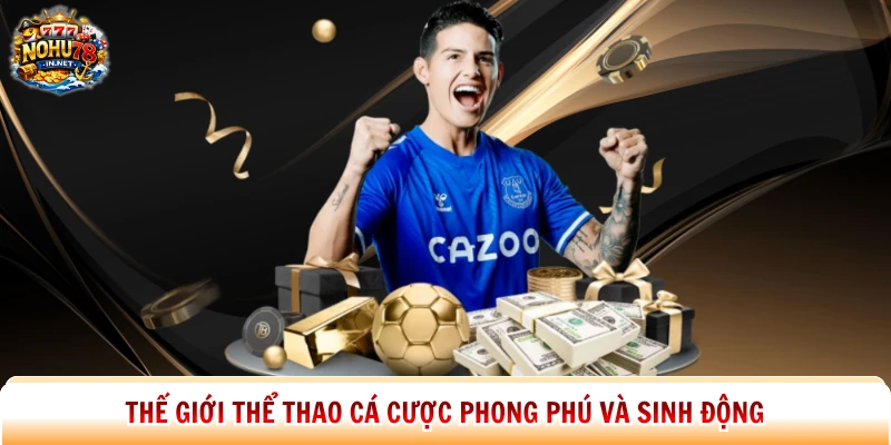 Thế giới thể thao cá cược phong phú và sinh động